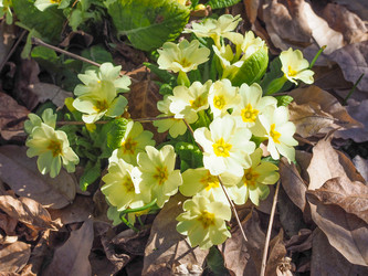 Similar image 7514843