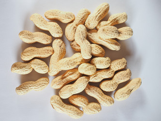 Similar image 7514846