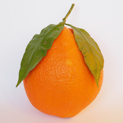 Similar image 7514857