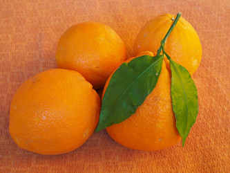 Similar image 7514912