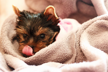 Similar image 7515071