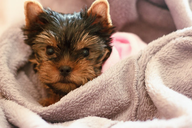 Similar image 7515072