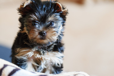 Similar image 7515075