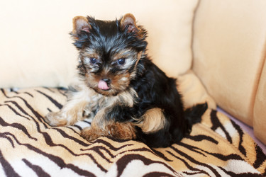 Similar image 7515076