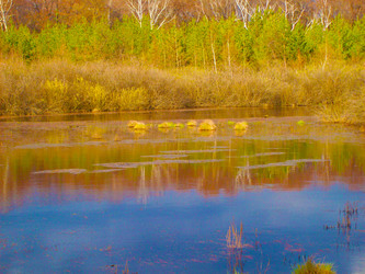 Similar image 7515383