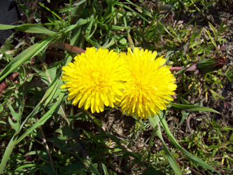 Similar image 7515384