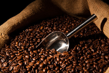 Similar image 7515494