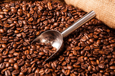 Similar image 7515499