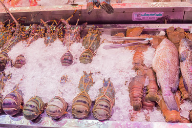 Similar image 7515628