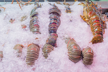 Similar image 7515632