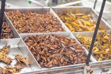 Similar image 7515635