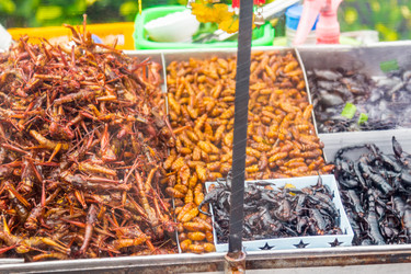 Similar image 7515636