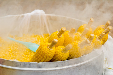 Similar image 7515637