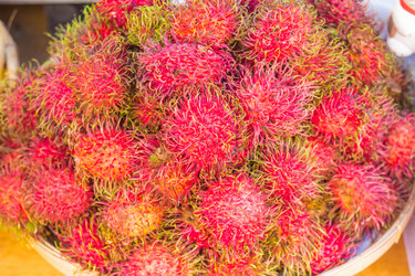 Similar image 7515656