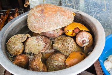 Similar image 7515658