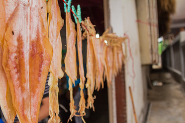 Similar image 7515669