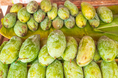 Similar image 7515674