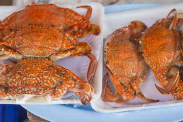 Similar image 7515678