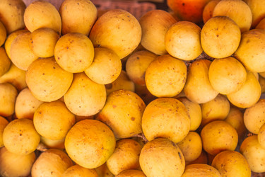 Similar image 7515681