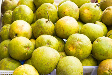 Similar image 7515686