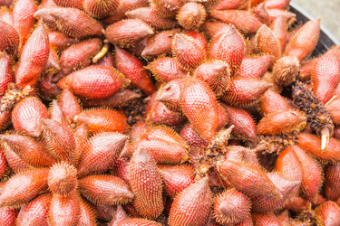 Similar image 7515687