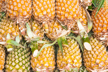 Similar image 7515688