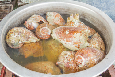 Similar image 7515696