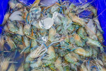 Similar image 7515703