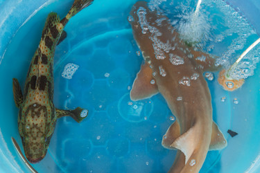 Similar image 7515706