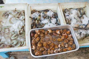 Similar image 7515713