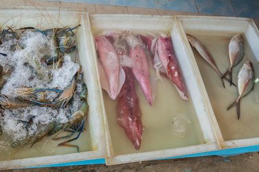 Similar image 7515717