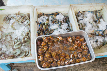 Similar image 7515718