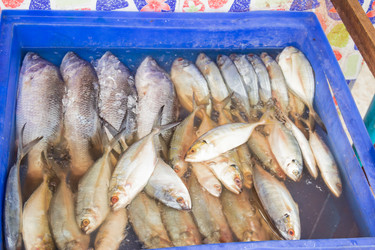 Similar image 7515721