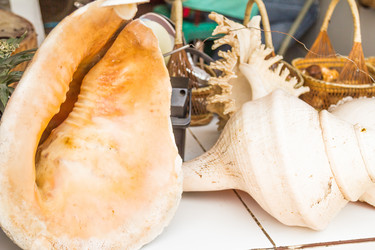 Similar image 7515722