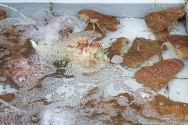 Similar image 7515727