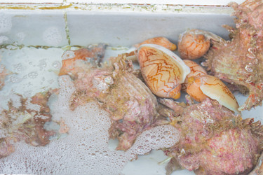 Similar image 7515728