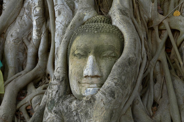 Similar image 7515775