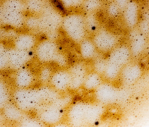 Similar image 7515795