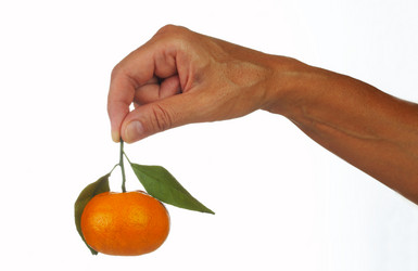 Similar image 7515803