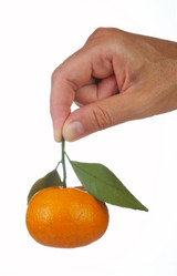 Similar image 7515804