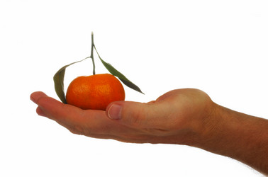 Similar image 7515805