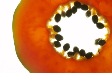 Similar image 7515808