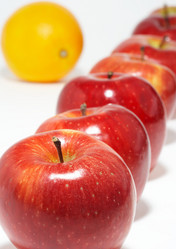 Similar image 7515811