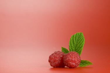 Similar image 7515833