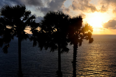 Similar image 7515889