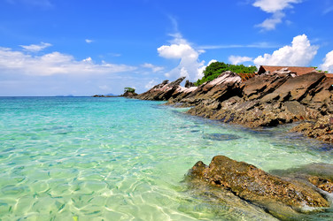 Similar image 7515897