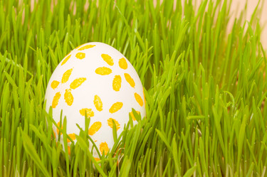 Similar image 7515930