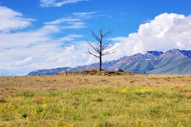 Similar image 7515936