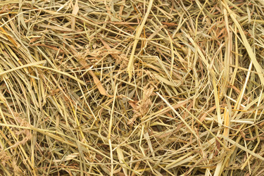 Similar image 7515948