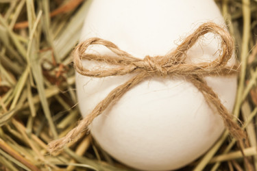 Similar image 7515954